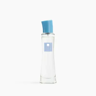 Туалетная вода Pur Blanca Elegance для нее, 45 мл